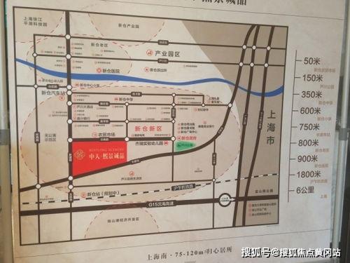 丹东本地人爆料天涯视频,天涯视频背后的真实故事