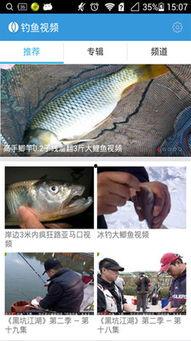 钓鱼爆料视频大全下载,揭秘钓鱼技巧与实战解析