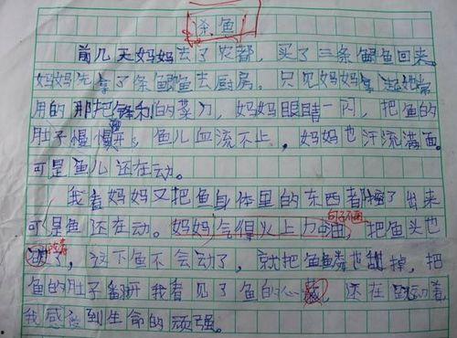 娱乐吃瓜酱小学生作文