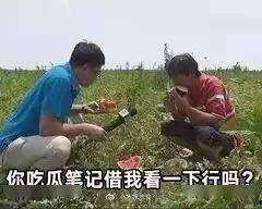 为了吃瓜进娱乐圈晋江